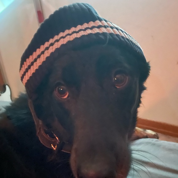 Black tuque with double white line - Picture 5 of 5